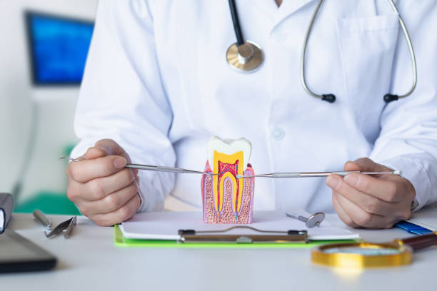 Best Emergency Treatment for Toothache in Nettleton, MS